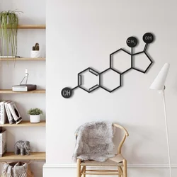 WallXpert metalni zidni ukras 5357, strukturna formula molekula estrogena, 75 x 53 cm, crni