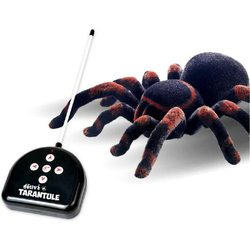 Strašljiva tarantula RC