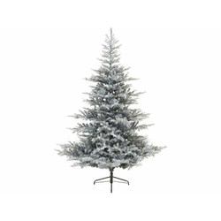 Everlands Novogodišnja jelka Grandis fir 210cm-150cm 68.1472