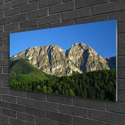 tulup.si Steklena slika Mount forest narava 120x60 cm 4 obešalnika
