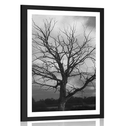 Plakat s paspartujem črnobelo drevo na travniku - 40x60 silver