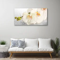 tulup.si Slika na platnu Rože na steni 100x50 cm