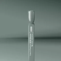 Color IT-2890 Trajni gel lak za nokte UV i LED | SILCARE| Kozmo