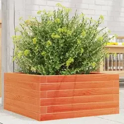 Vrtna sadilica voštano smeđa 50 x 50 x 23 cm masivna borovina