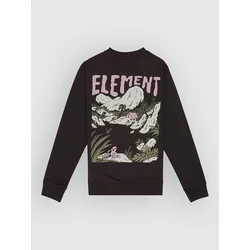 Element Lakeside Kids Sweater off black