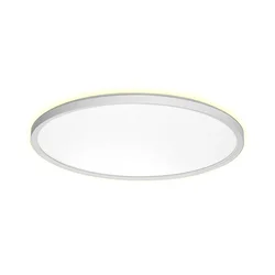 Prezent 27316 - LED plafonsko svetlo za kupatilo CORDIA LED/30W/230V IP54 prečnik 50 cm belo