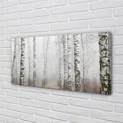 tulup.si Slika na platnu Breza megla 100x50 cm