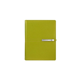 ALICANTE Superior Agenda sa mehanizmom, A5, Apple green