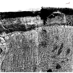 Sheherazaad - Qasr (LP)