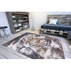 Conceptum Hypnose Tepih Opus -AL 321, 150x230 cm, Šareni