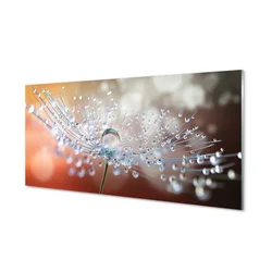 tulup.si Slika na steklu Kapljice makro regrat 100x50 cm 4 obešalnika