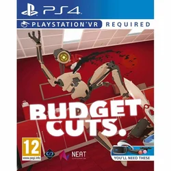 PS4 Budget Cuts VR
