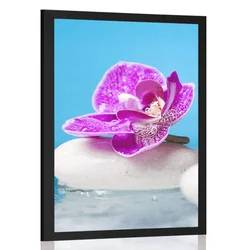 Plakat orhideja in Zen kamni - 40x60 no frame
