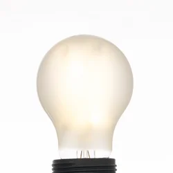 Arcchio LED-žarnica Filament, E27 2,2W, mat, 3000K, 470 lm
