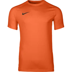 Nike Dres Dri-FIT Park VIII