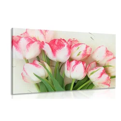 Slika spomladanski tulipani - 40x30