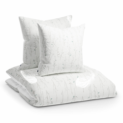 Sleepwise (BED1-Softw240x220-LF)