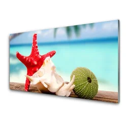 tulup.si Steklena slika Shell starfish art 120x60 cm 2 obešalnika