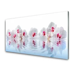 tulup.si Steklena slika Rože narava art rastlin 100x50 cm 4 obešalnika