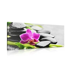 Slika wellness tihožitje z vijolično orhidejo - 80x40