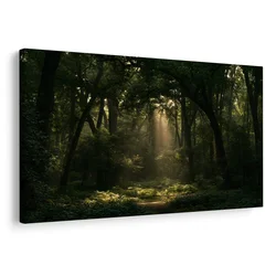 Slika sončni žarki v gozdu - 60x40