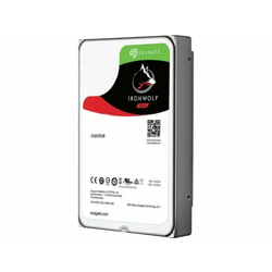 SEAGATE NAS HDD 12TB IronWolf