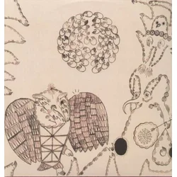 Devendra Banhart - Rejoicing In The Hands/Nino Rojo (2 LP)