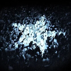 The Rions - Everything Every Single Day (Transparent White Coloured) (LP)