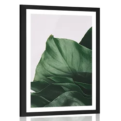 Plakat s paspartujem očarljiv list monstere - 40x60 black