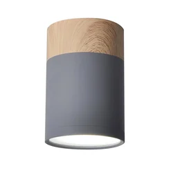Plafonsko svetlo TUBA GU10/15W/230V