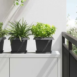Kvadratna saksija za cvijeće 6 pcs Crna 23 x 23 x 17,5 cm