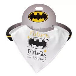 Stefan portikla Batman, dečaci