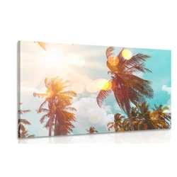 Slika sončni žarki med palmami - 30x20