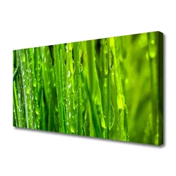 tulup.si Slika na platnu Grass nature rastlin 100x50 cm