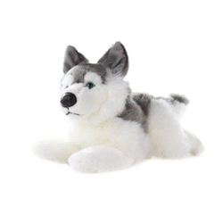Husky pliš 34 cm