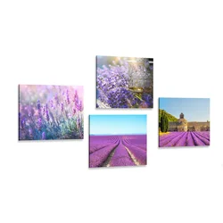 Komplet slik za ljubitelje sivke - 4x 60x60