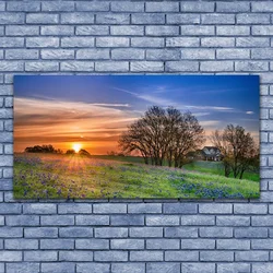 tulup.si Slika na platnu Sun travnik landscape 140x70 cm