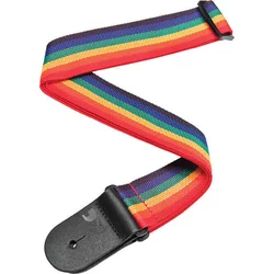 DAddario Planet Waves PWS111 Polypropylene Rainbow