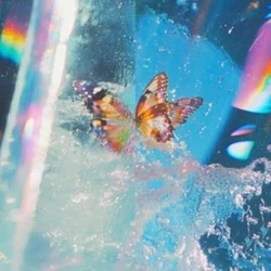 Daphni - Butterfly (CD)