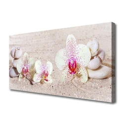 tulup.si Slika na platnu Orchid orchid sand 120x60 cm