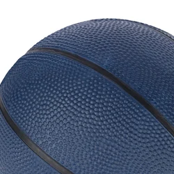 Pro Touch HARLEM 50 MINI, mini košarkaška lopta, bijela 413416