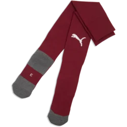 Puma Nogavice teamLIGA26 Core