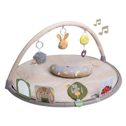 Taf Toys gimnastika ( 22114096 )