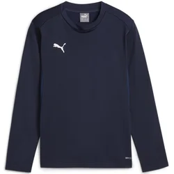 Mikica Puma teamGOAL Training Sweat Jr