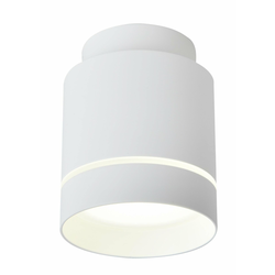 LED plafonsko svetlo TUBA LED/12W/230V