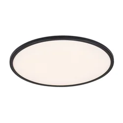 RABALUX LED plafonjera Ezio dimabilna na zidni prekidač crna 290 mm