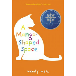 Mango-Shaped Space