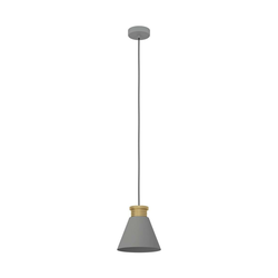 Eglo 43838 - Luster na lanku TWICKEN 1xE27/40W/230V