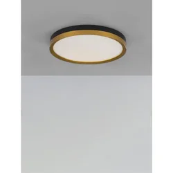 CANTRIA PLAFONSKA SVJETILJKA LED 31W/3000K/1916lm/IP20/CRNA & ZLATNA