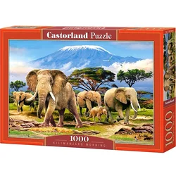 Castorland puzzla 1000 pcs Kilimingaro Morning 103188